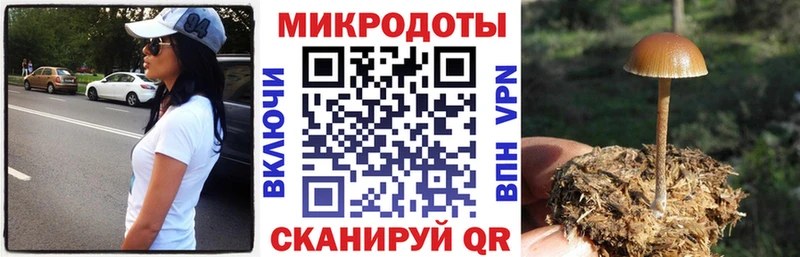 Галлюциногенные грибы Psilocybine cubensis  Бабушкин 